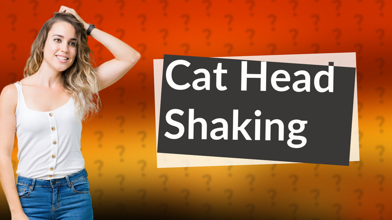 Cat Head Shaking