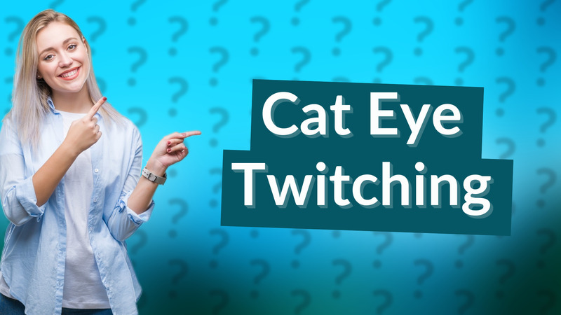 Cat Eye Twitching