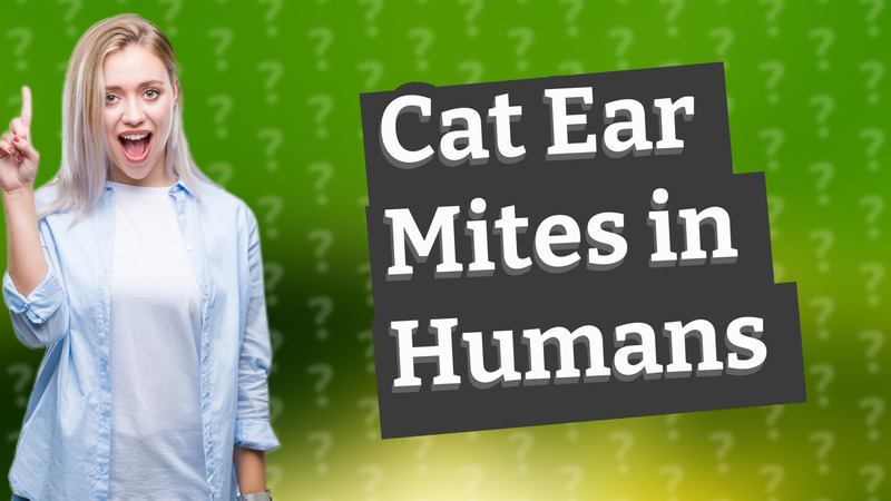 Cat Ear Mites in Humans
