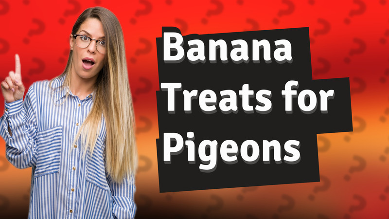 Banana Treats for Pigeons
