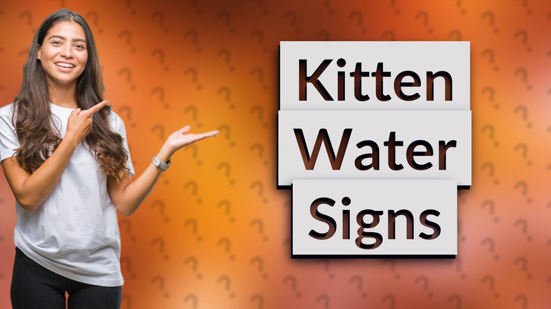 Kitten Water Signs