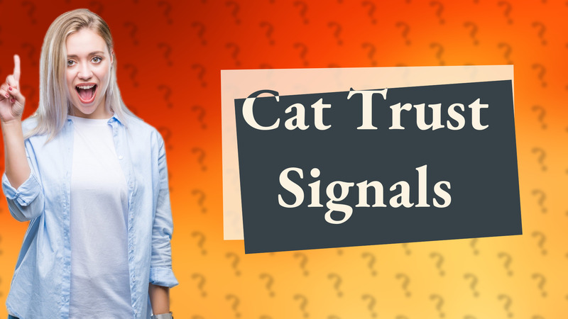 Cat Trust Signals