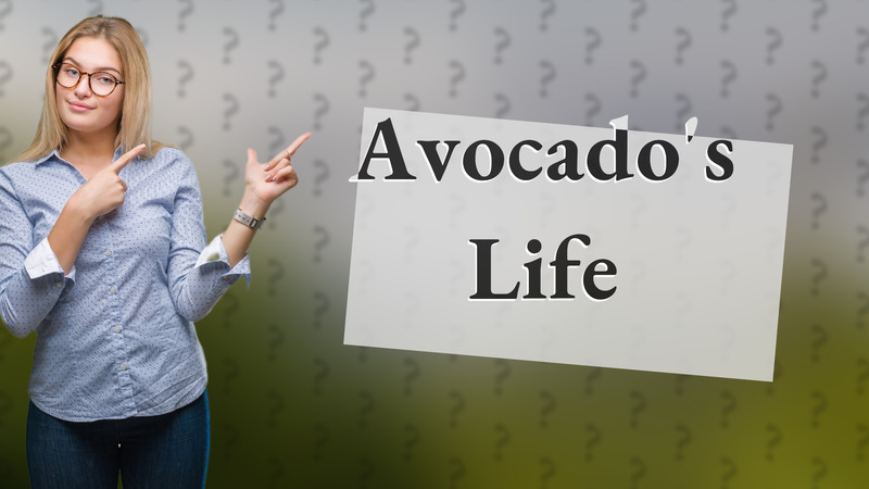 Avocado's Life