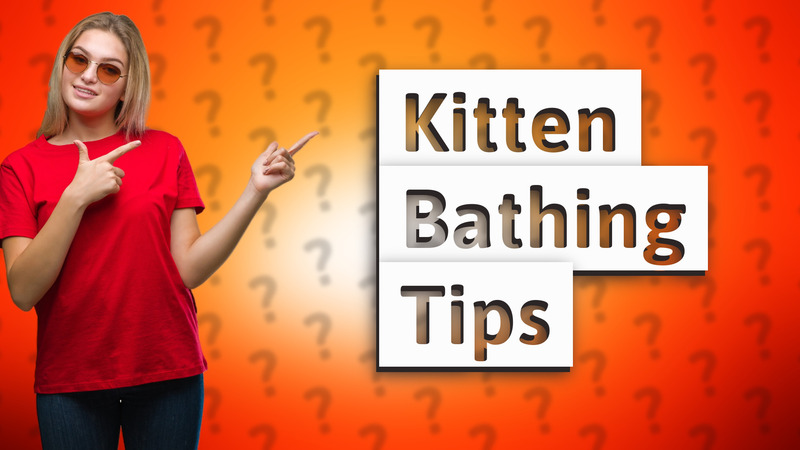 Kitten Bathing Tips
