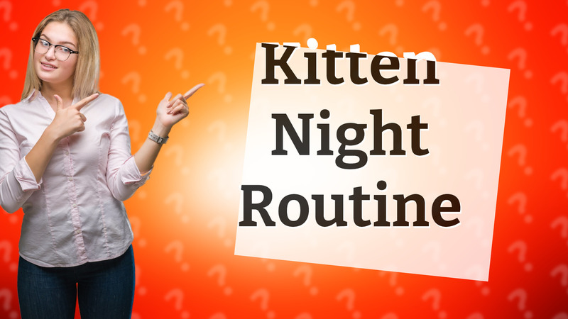 Kitten Night Routine