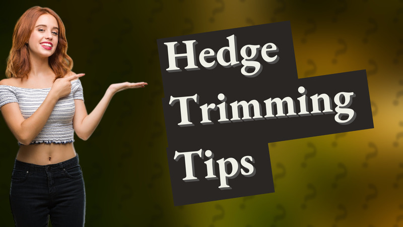 Hedge Trimming Tips