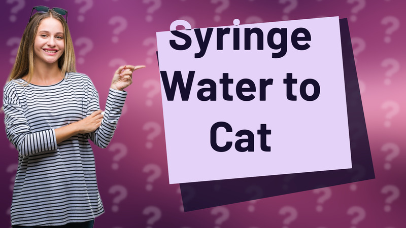 Syringe Water to Cat