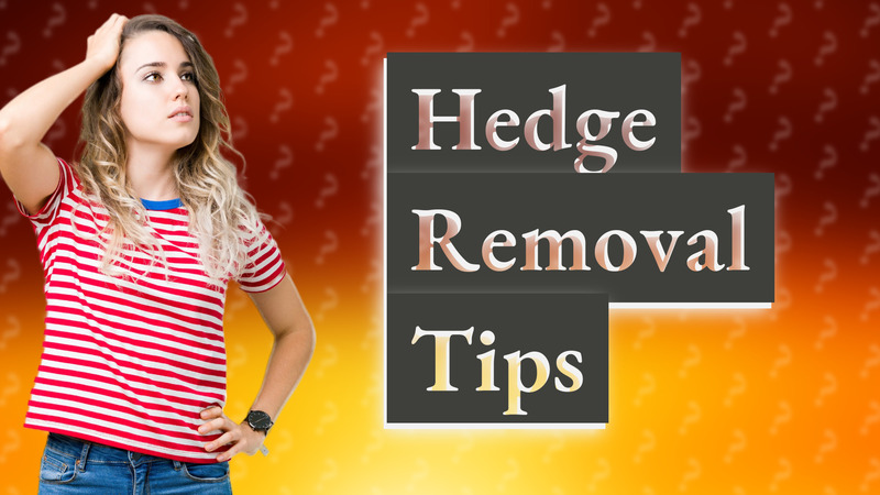 Hedge Removal Tips