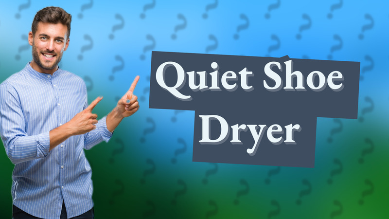 Quiet Shoe Dryer