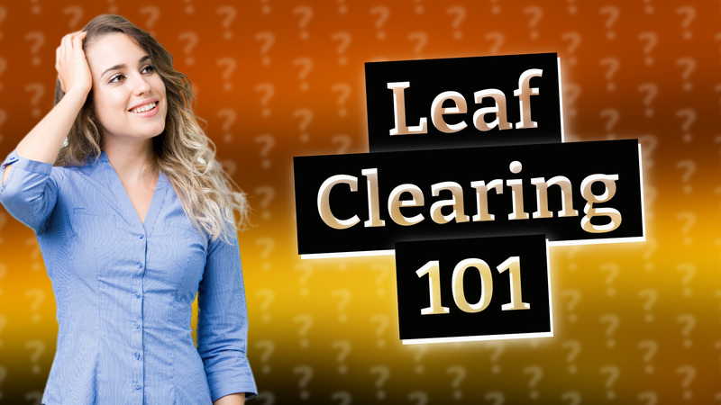 Leaf Clearing 101
