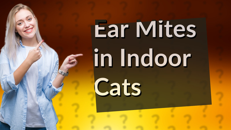 Ear Mites in Indoor Cats