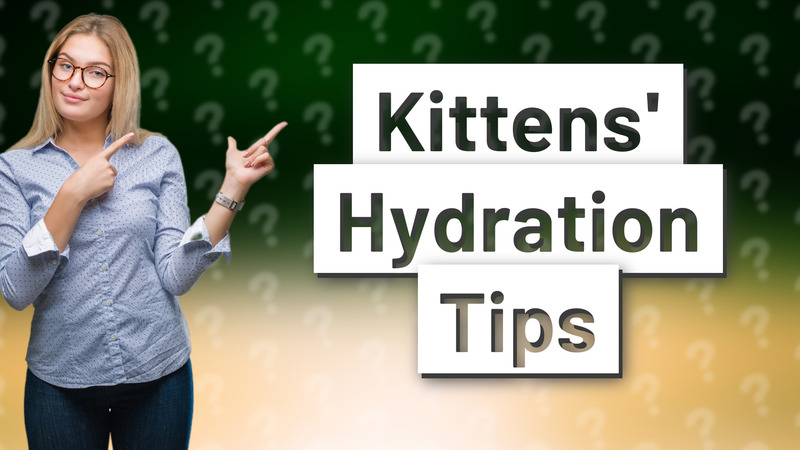 Kittens' Hydration Tips