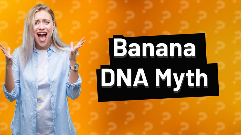 Banana DNA Myth