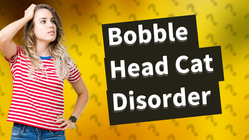Bobble Head Cat Disorder