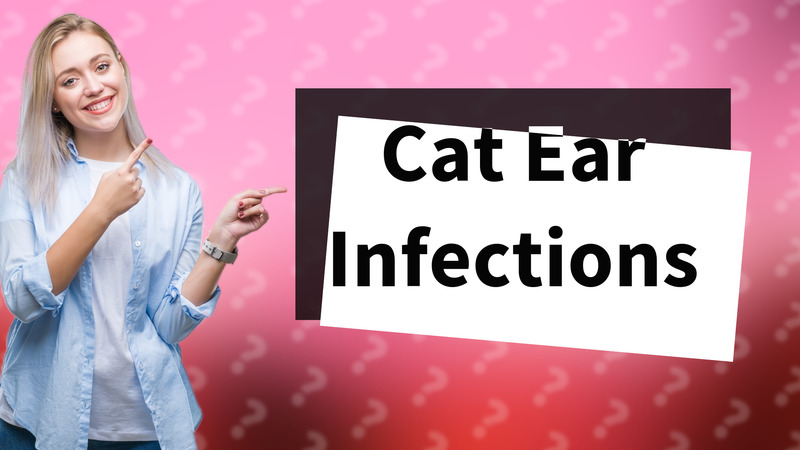 Cat Ear Infections