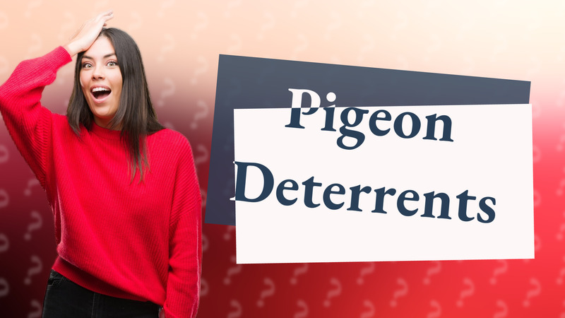 Pigeon Deterrents