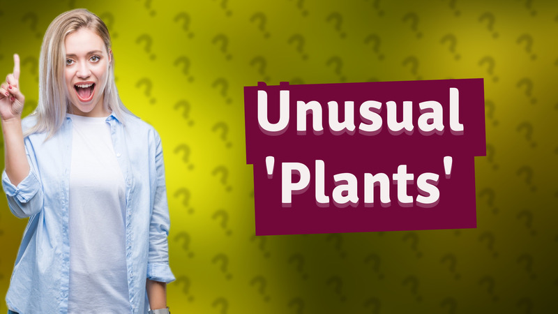 Unusual 'Plants'