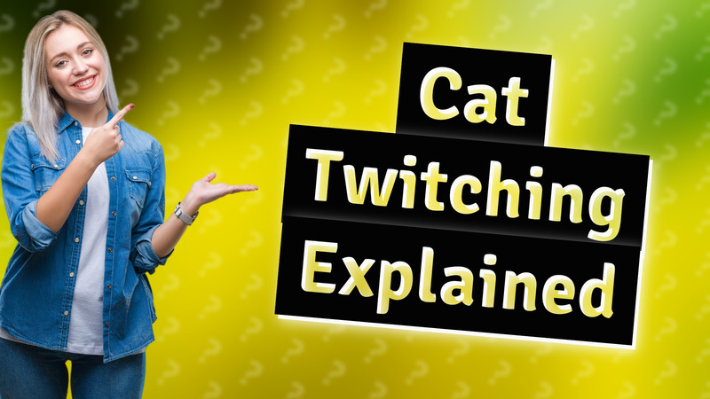 Cat Twitching Explained