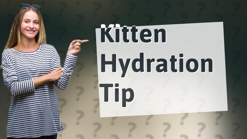 Kitten Hydration Tip