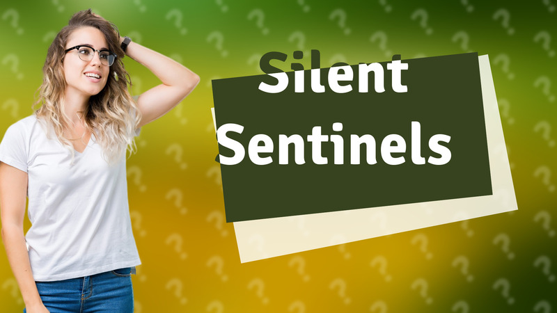 Silent Sentinels