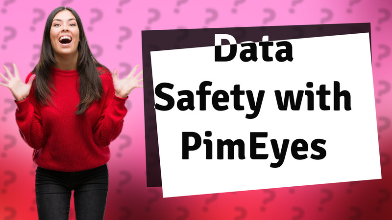 Data Safety with PimEyes