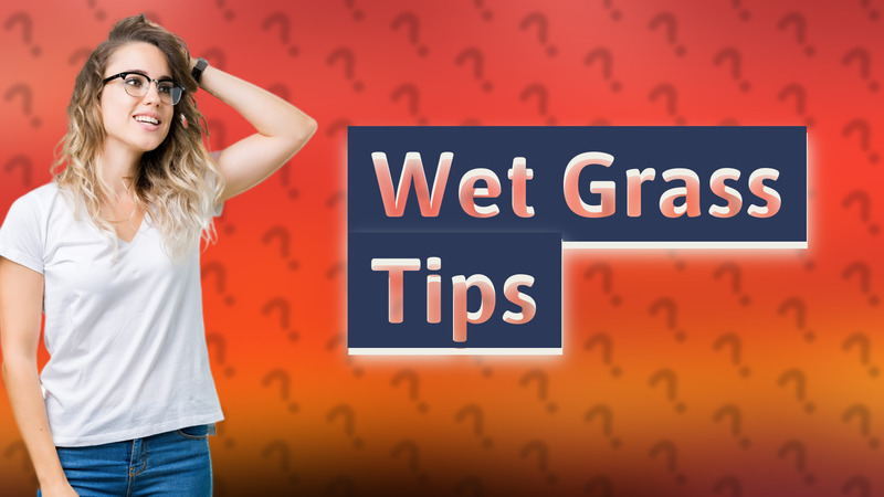 Wet Grass Tips