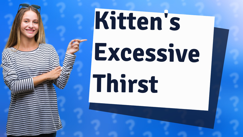 Kitten's Excessive Thirst