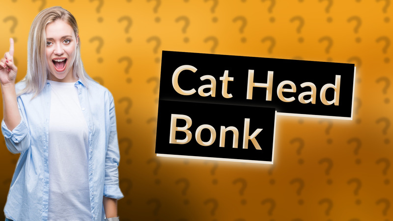 Cat Head Bonk