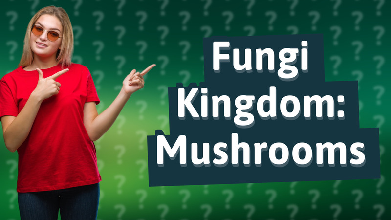 Fungi Kingdom: Mushrooms