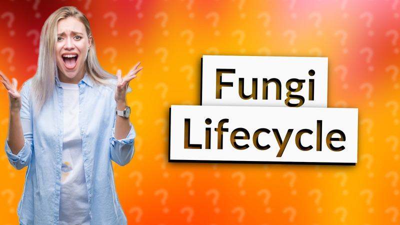 Fungi Lifecycle
