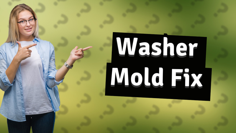 Washer Mold Fix
