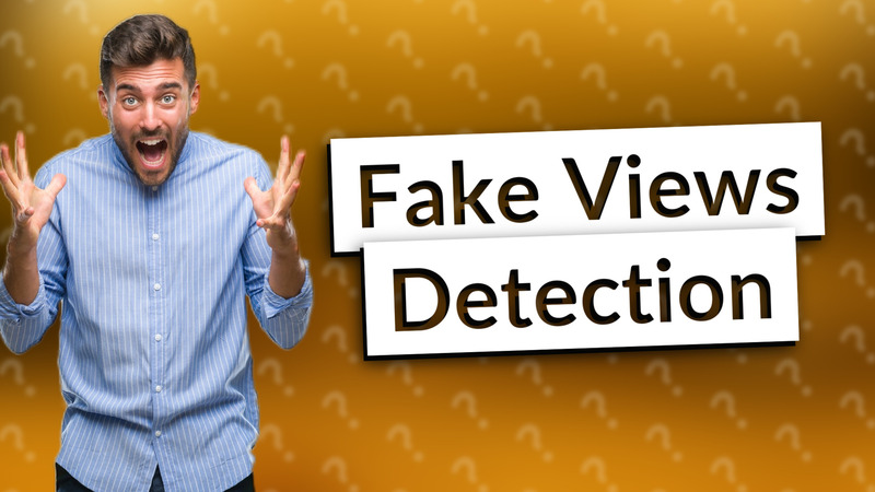 Fake Views Detection