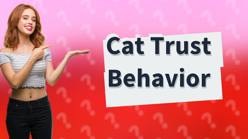 Cat Trust Behavior
