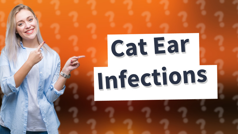 Cat Ear Infections