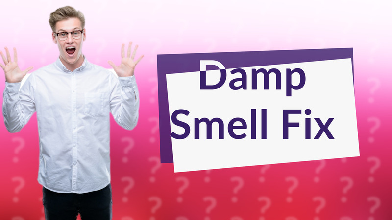 Damp Smell Fix