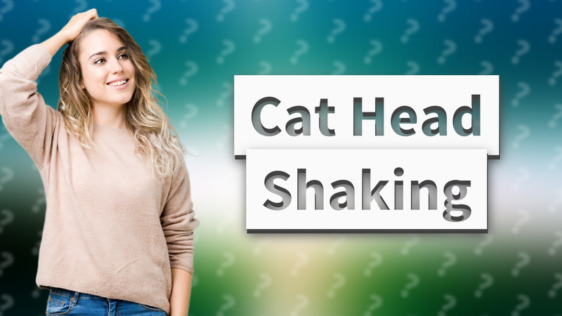 Cat Head Shaking