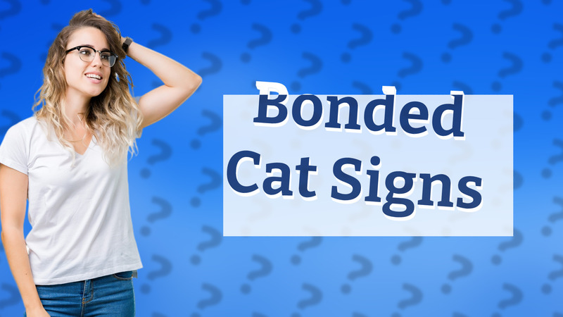 Bonded Cat Signs