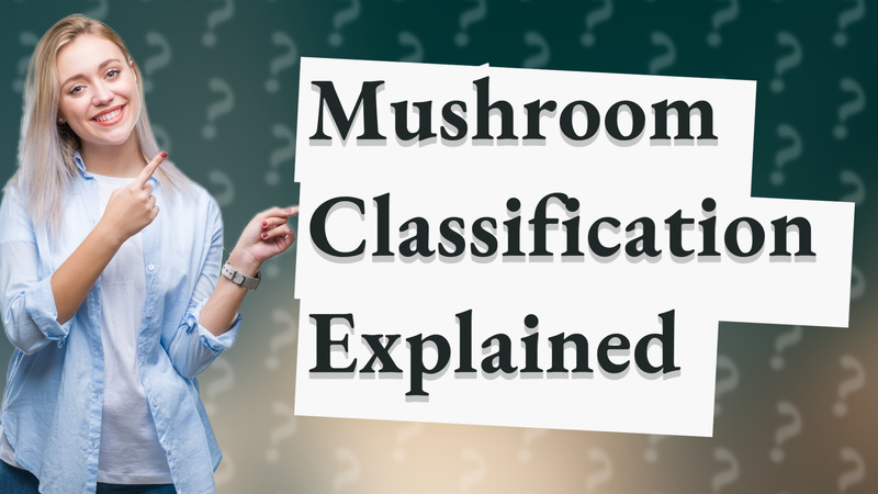 Mushroom Classification Explained