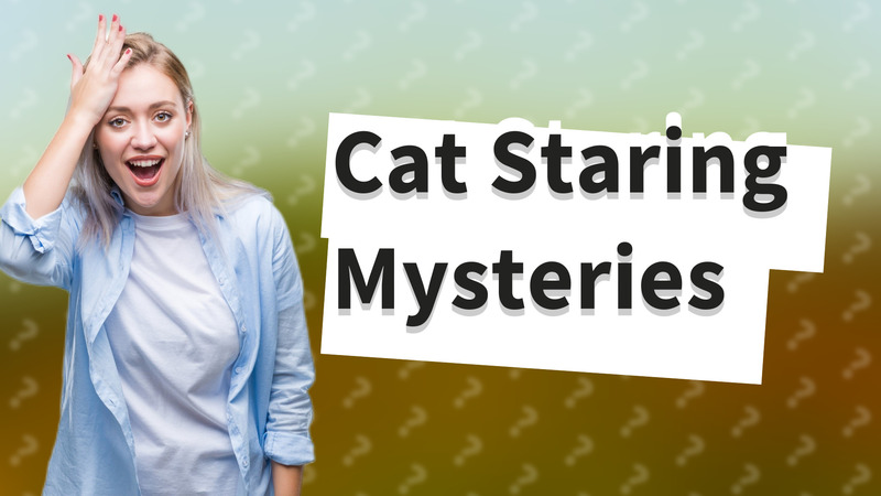 Cat Staring Mysteries