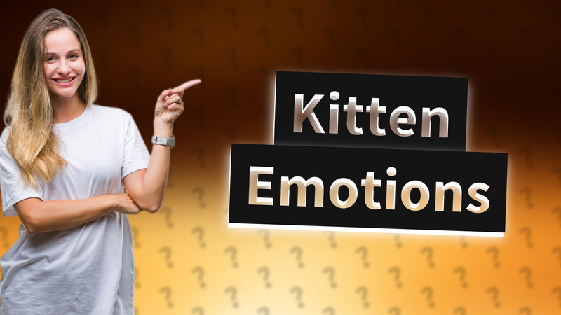 Kitten Emotions