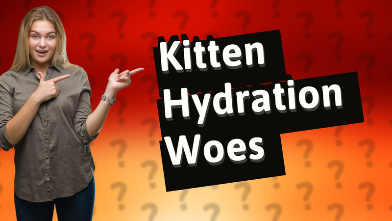 Kitten Hydration Woes