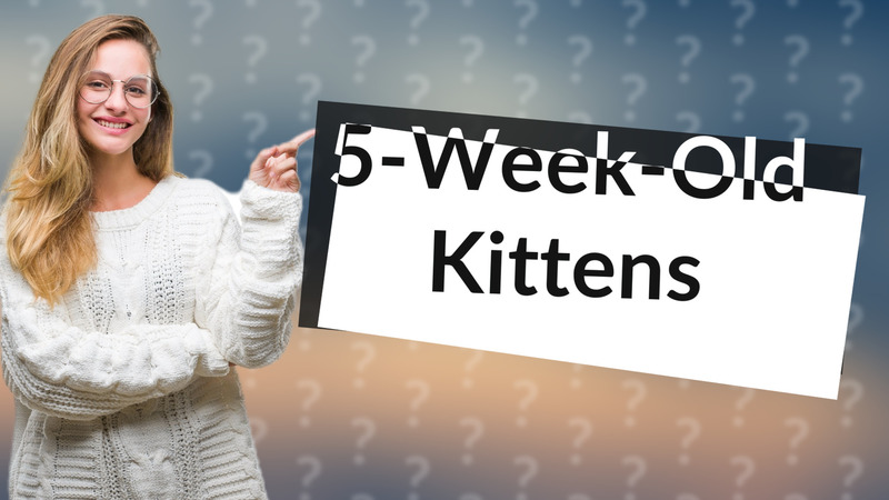 5-Week-Old Kittens