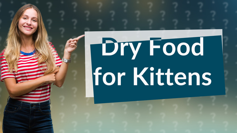 Dry Food for Kittens