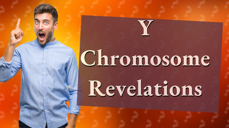 Y Chromosome Revelations