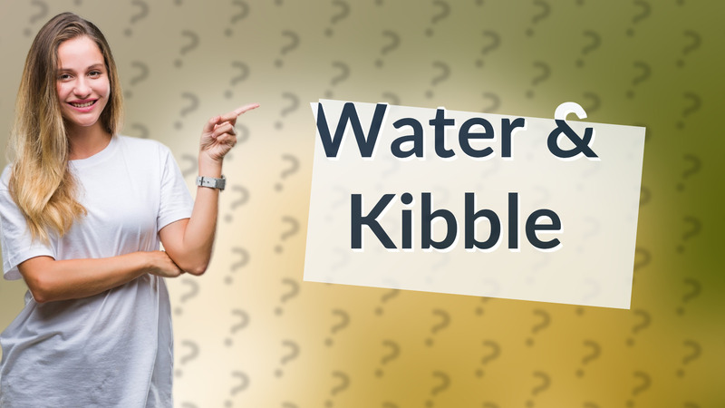 Water & Kibble