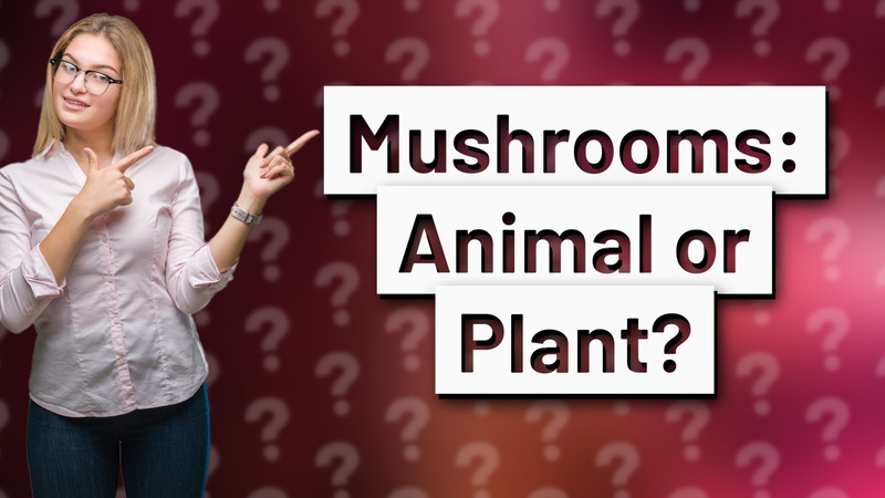 Mushrooms: Animal or Plant?