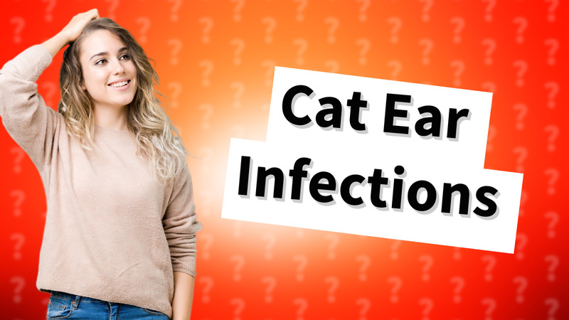 Cat Ear Infections