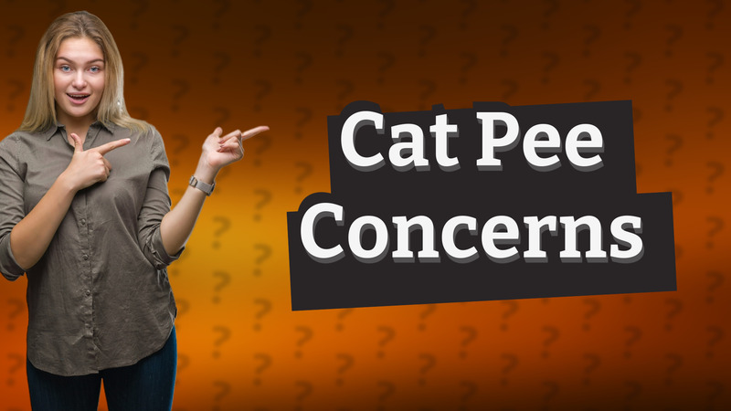 Cat Pee Concerns