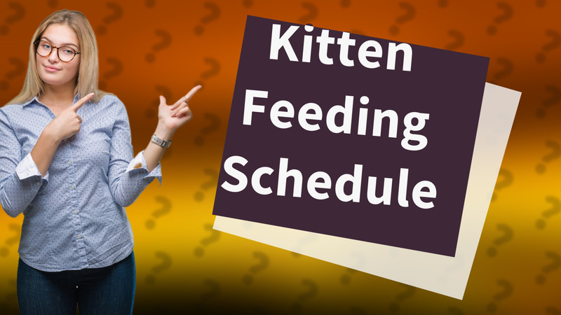 Kitten Feeding Schedule