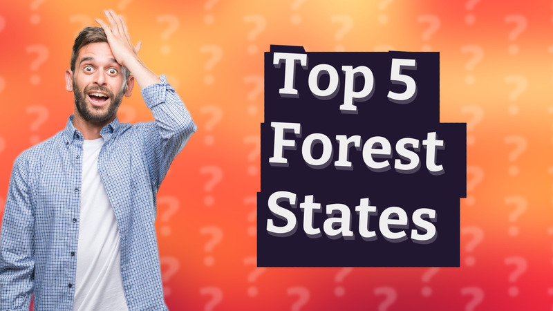 Top 5 Forest States